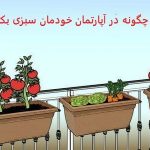 در آپارتمان خودمان سبزی بکاریم